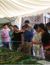 参观学习  交流探讨  共同进步——海南区域公司组织员工到大区小